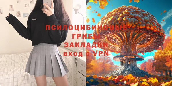 PSILOCYBIN Наволоки