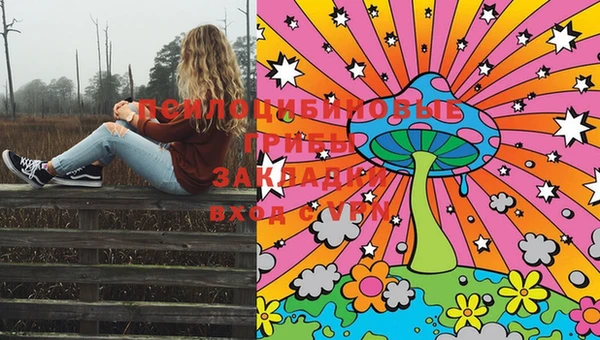 PSILOCYBIN Наволоки